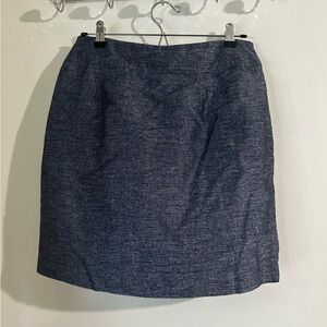 Ann Taylor Skirt